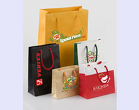 paper bags with handle buy paper bags with handles