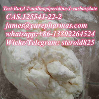 CAS.125541-22-2,tert-Butyl 4-anilinopiperidine-1-carboxylate,1-N-Boc-4-(Phenylamino) piperidine