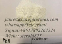 Factory supply 99% YK-11 legal Bulk Sarms Powder fitness supplement  YK11 CAS 431579-34-9 guarantee delivery
