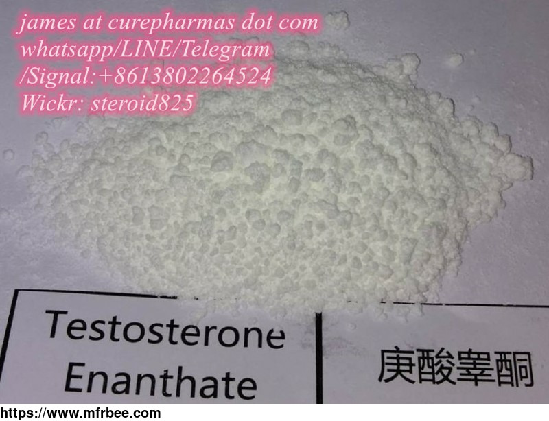 factory_supply_testosterone_enanthate_315_37_7_gear_powder_guarantee_delivery