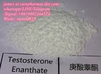Factory supply Testosterone Enanthate 315-37-7 gear powder  guarantee delivery
