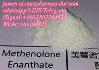 Factory supply Methenolone Enanthate raw gear hormone powder Primobolan 303-42-4 CAS 94-15-5 guarantee delivery