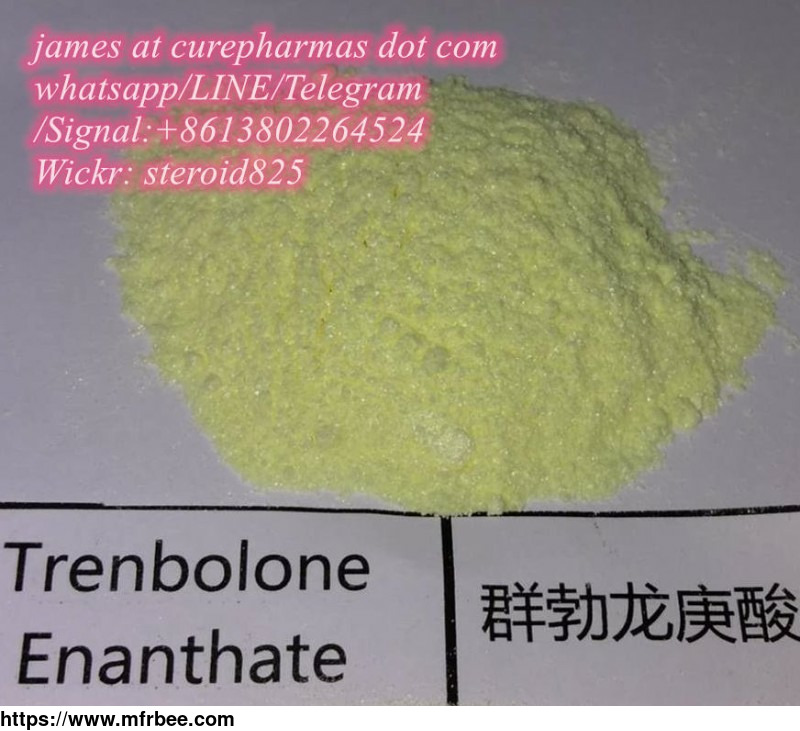 factory_supply_trenbolone_enanthate_parabola_tren_e_raw_anabolic_powder_10161_33_8_guarantee_delivery