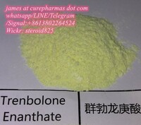 Factory supply Trenbolone Enanthate Parabola Tren E raw anabolic powder 10161-33-8   guarantee delivery