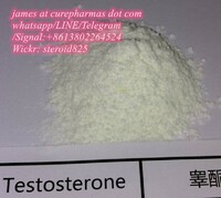 Factory supply Testosterone Base raw  Powder 58-22-0 guarantee delivery