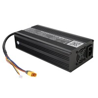 600W 12V 25A Battery Charger