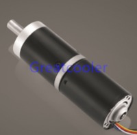 more images of 42mm Planetary gearbox + WBDM4260 Brushless DC Motor
