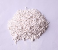 Hot Sell Ground Coat Porcelain Enamel Powder for Cast Iron