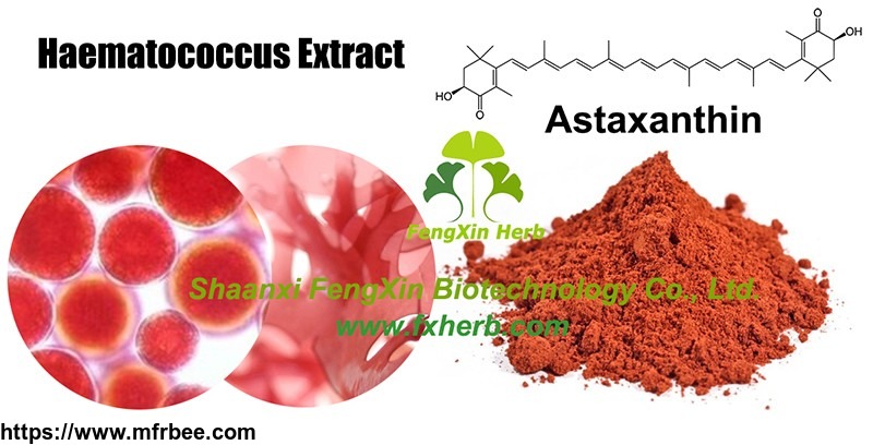 haematococcus_extract_astaxanthin