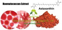 more images of Haematococcus Extract Astaxanthin