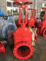 more images of Gate Valve supplier in Oman