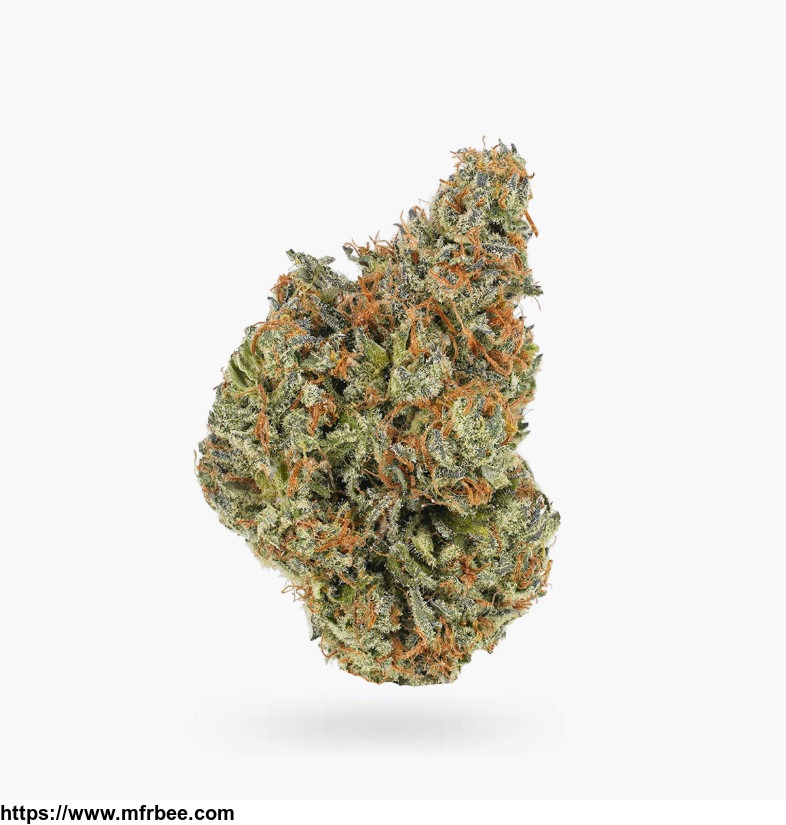 tropicana_og_aaaa_weed_wholesale_hush_cannabis_club