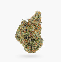 Tropicana OG (AAAA) Weed Wholesale | Hush Cannabis Club