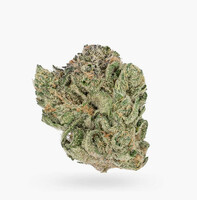 Buy Organic 9lb Hammer (AAAA) Weed Online | Hush Cannabis Club