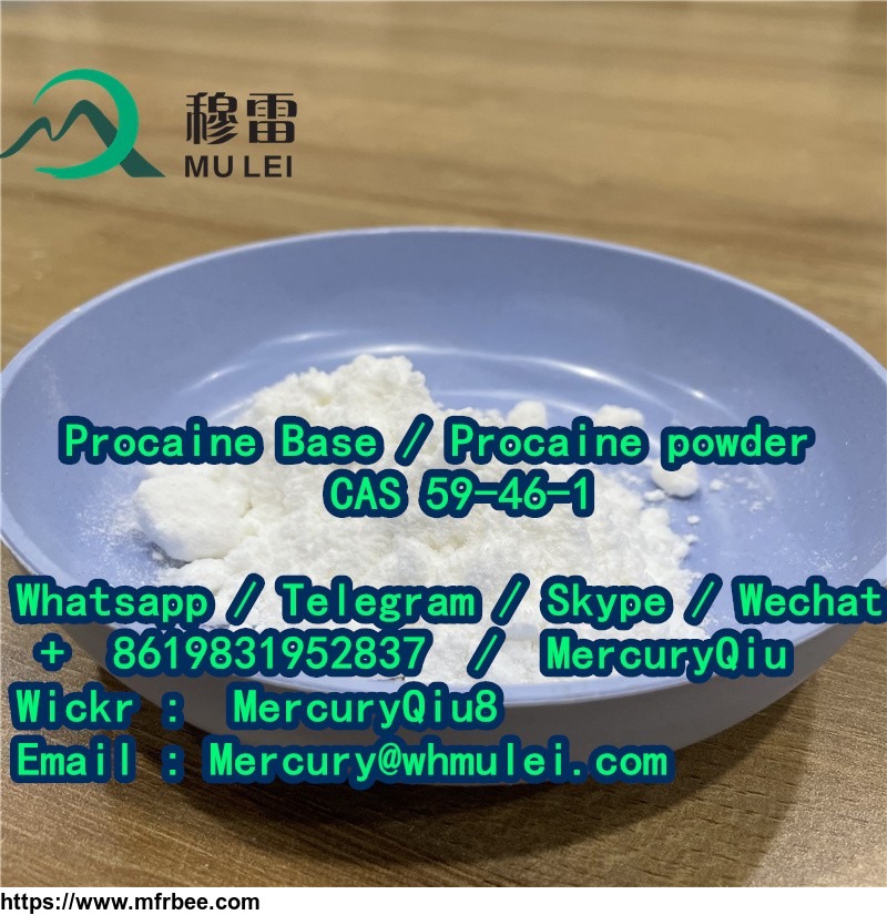 china_top_quality_procaine_base_cas_59_46_1_in_stock_safe_delivery