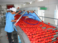 Tomato paste production line JIANYI Machinery