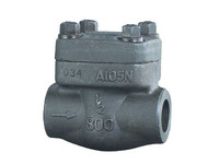 more images of Forged Check Valve