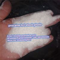 Procaine Lidocaine benzocaine Tetracaine powder whatsap: +86-18932902328