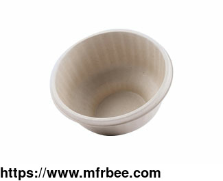 eco_friendly_disposable_and_biodegradable_bowl
