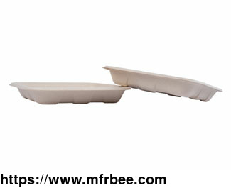 eco_friendly_disposable_and_biodegradable_catering_plate