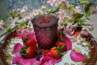 more images of Ningxia Goji berries(180 grains/50g) Gojihome