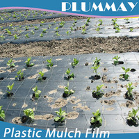 Good quality black agricultural mulching film