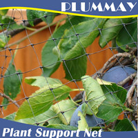 100% virgin HDPE plant support netting green agriculture climbing net
