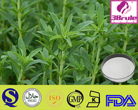bilberry extract for skin Bilberry Extract
