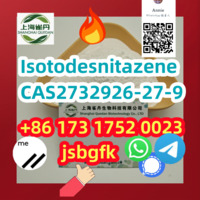 Isotodesnitazene 2732926-27-9