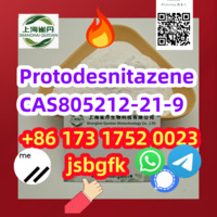 Protodesnitazene CAS805212-21-9