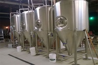 more images of 2500L beer fermentation tanks China fermenter design cone angle tank
