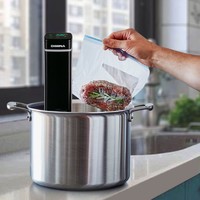 1100 Watts Hyper-Fast Water Heating Immersion Circulator Sous Vide