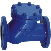 more images of HQ41X Y Type Ball Check Valve Cast iron