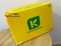 more images of Printable Collapsible Custom corrugated polypropylene box