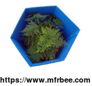 polygonal_corrugated_plastic_tree_protectors_eco_friendly_weather_proof