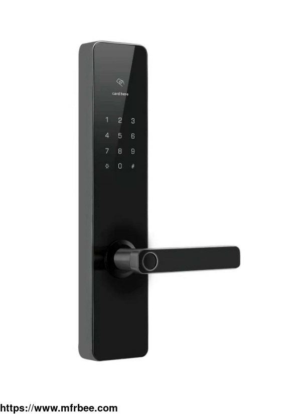 a1010_reliable_competitive_dongguan_electronic_apartment_password_lock
