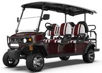 4+2 Seater Lifted Golf Carts 99