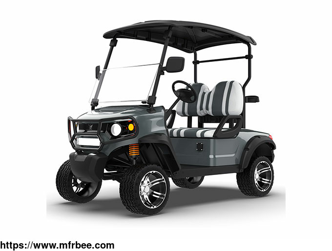 2_seater_golf_buggy