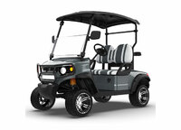 more images of 2 Seater Golf Buggy
