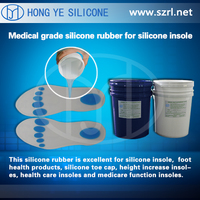 Y-6 silicone shoe mold silicone