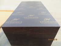 more images of KANGAROO BRAND FILM FACED PLYWOOD