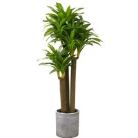 more images of Newest Designed Artificial Bonsai Trees Sale Eastern European Most Popular For Home Decoration