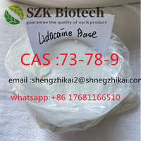 China Supplier 99% Lidocaine HCl Pain Relief Powder 73-78-9 in Stock Now (shengzhikai2@shengzhikai.com)