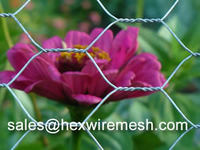 more images of Hexagonal Wire Mesh