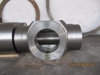 WB36 Custom Forged valve