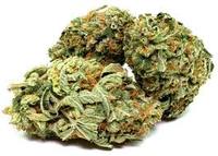 more images of medical marijuana