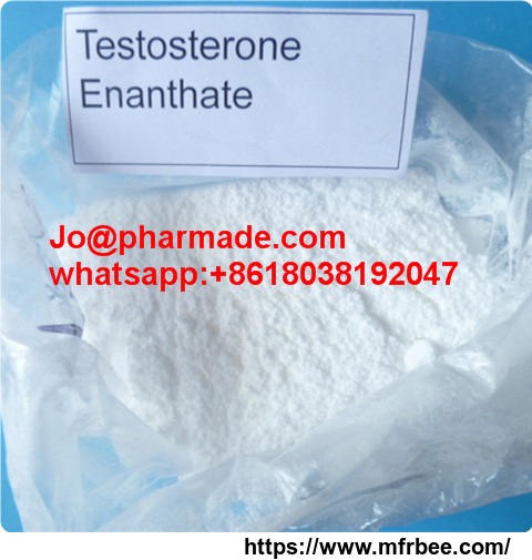 testo_enant_testosterone_enanthate_pharmade_american_steroid_powder