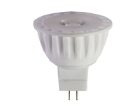 more images of LED Light Bulbs for Outdoor Fixtures