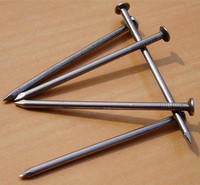more images of Common Nails