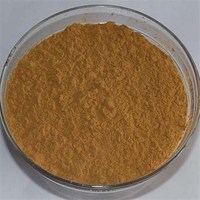 more images of Salvia Extract